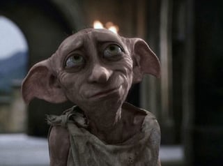 dobby.jpg
