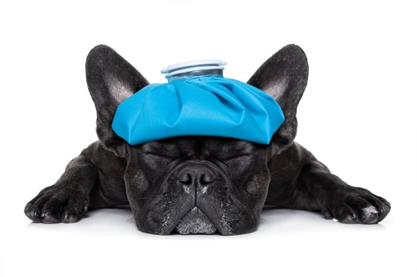 Ineffective banking business development marketing leads to headaches for CMOs.