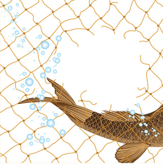 Marketing without Inbound Methodology is like fishing with a hole in your net.