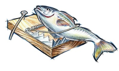 Target your audience with the correct bait - not what you want them to be looking for.