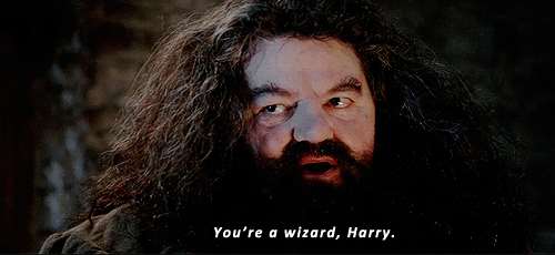 yer_a_wizard_harry.gif
