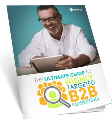 Ultimate Guide to Highly Targeted B2B Marketing - Book Cover