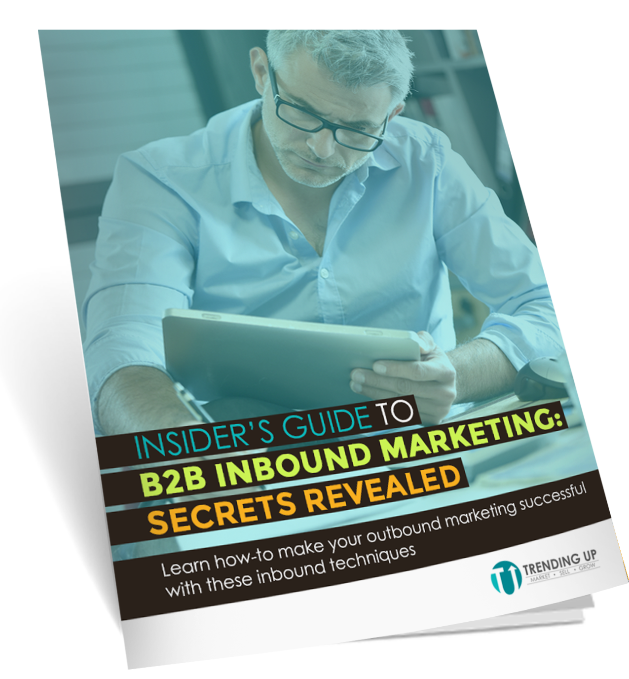 insiders_guide_b2b_ebook_cover