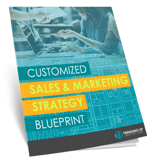 Marketing and Sale Blueprint - Booklet v2