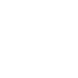 STRATEGY ONLY - Icon.png