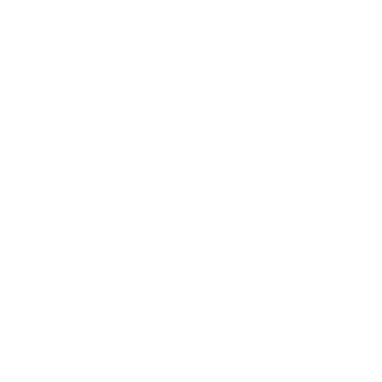 STRATEGY and MONTHLY COACHING - Icon.png
