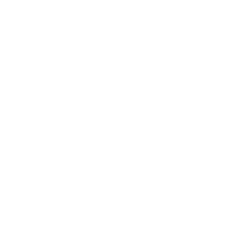 STRATEGY-CONTINUOUS-GROWTH-EXECUTION-icon.png